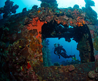 下潜沉船，追溯科隆岛的前世记忆