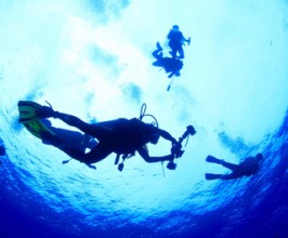 PADI AOW进阶开放水域潜水员课程